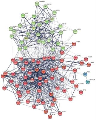 Aberrations in the Cross-Talks Among Redox, Nuclear Factor-κB, and Wnt/β-Catenin Pathway Signaling Underpin Myalgic Encephalomyelitis and Chronic Fatigue Syndrome
